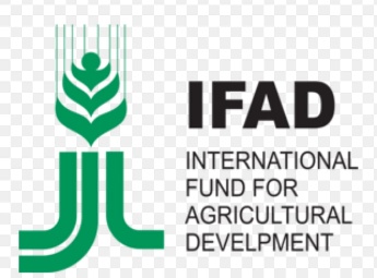 IFAD