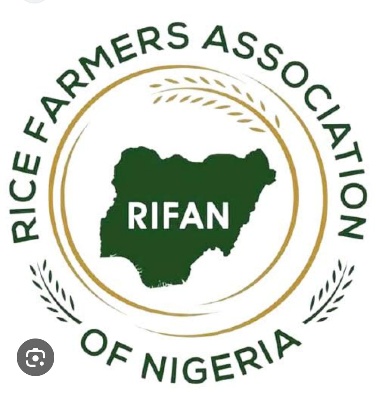 Rice farmers